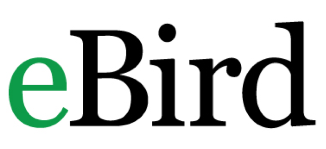ebird logo